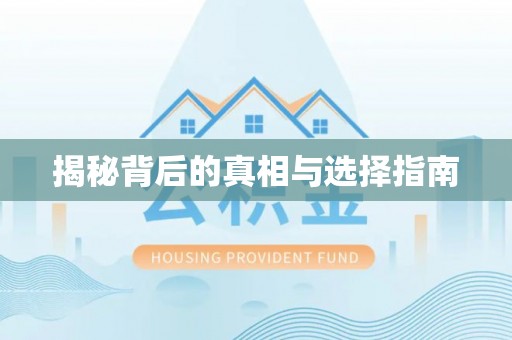 米脂揭秘背后的真相与选择指南