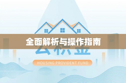 米脂全面解析与操作指南